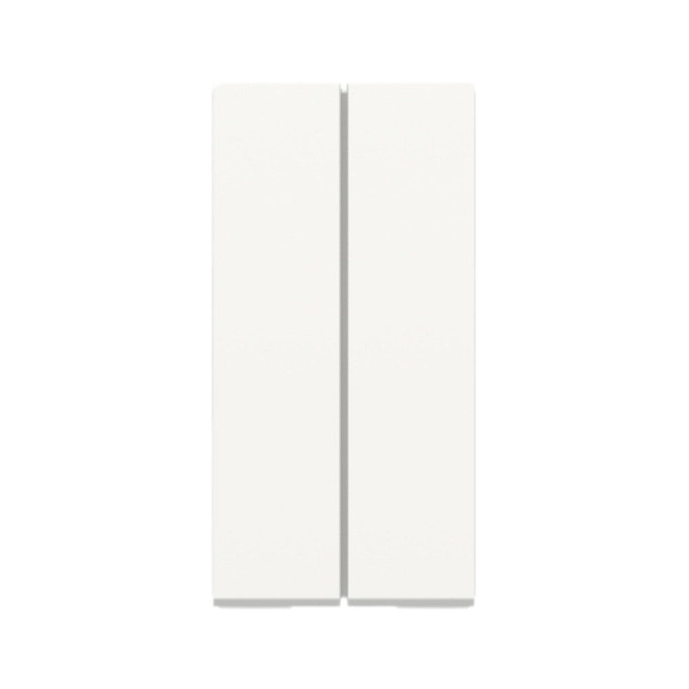 Interruptor Modular Duplo Simples 10A Branco Orion Schneider S70100104 Schneider