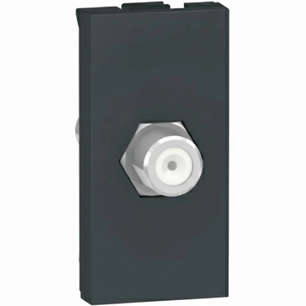 Tomada Modular Antena TV Coaxial Grafite S70546894 Orion