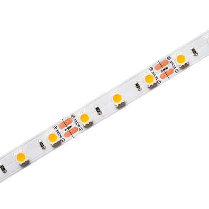 Fita de LED 10W 12V 2700K IP20 5 Metros Stella