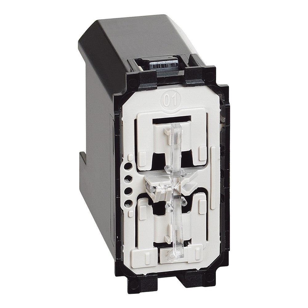 Módulo Conector Neutro K4003C Linha Living Now