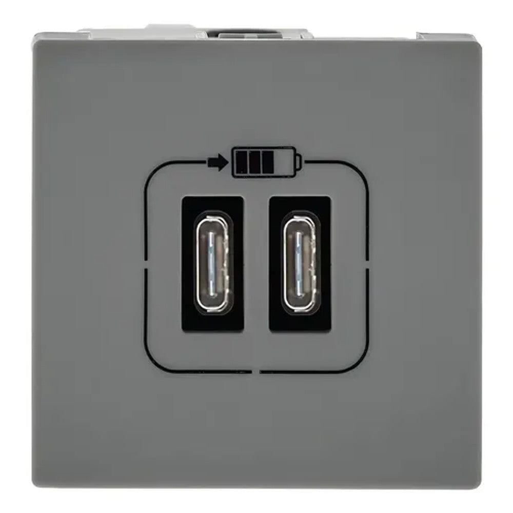 Tomada Modular com Carregador USB Tipo C Duplo 615096 Cinza Plus