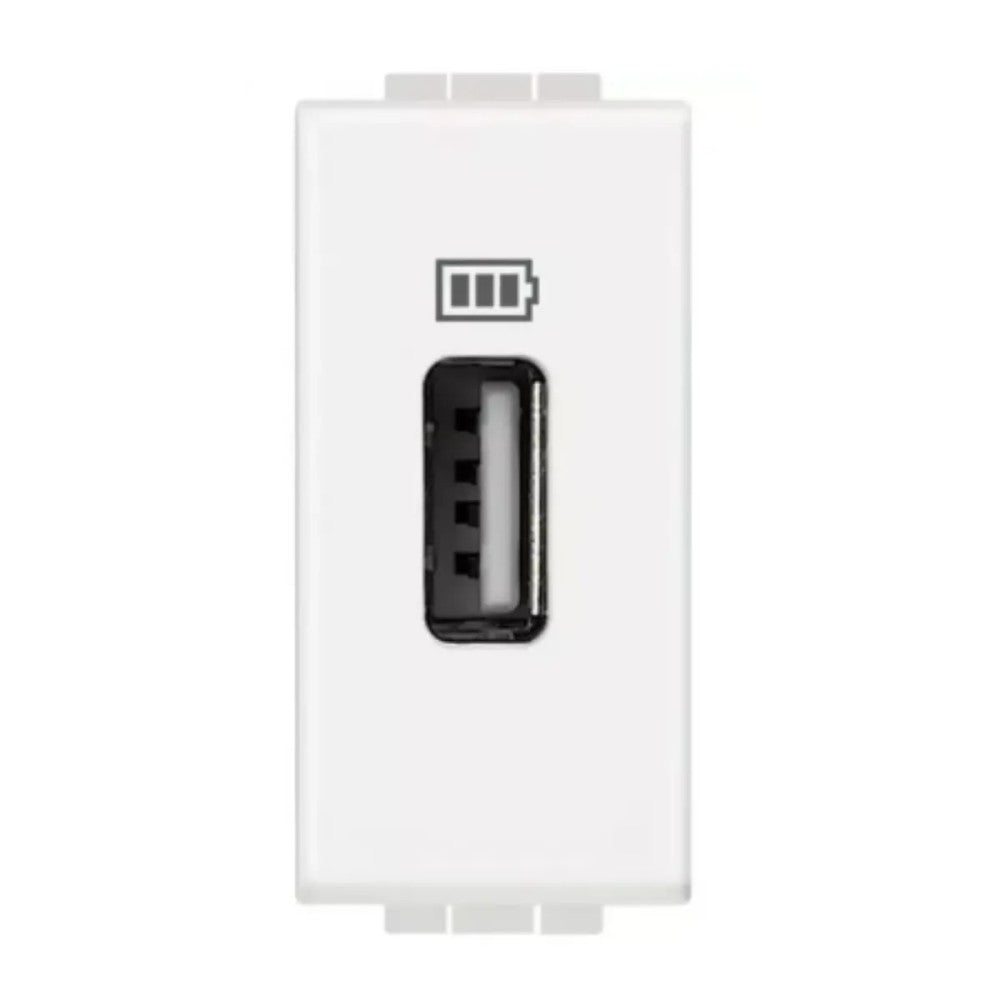 Tomada Carregador 4285C1-SN Branco Living Light