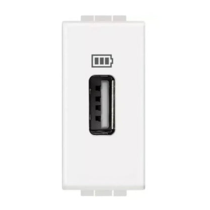 Tomada Carregador 4285C1-SN Branco Living Light