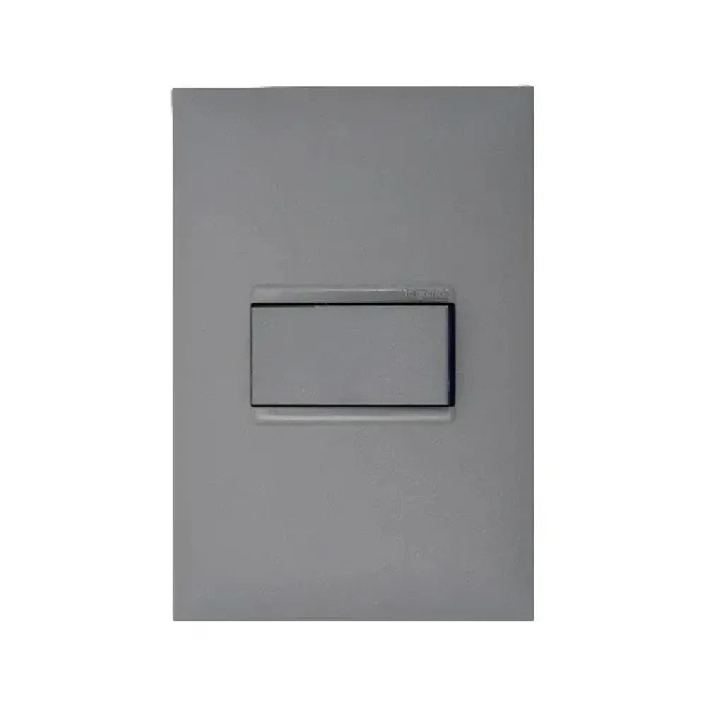 Interruptor Simples Horizontal 10A com Placa Plus Cinza
