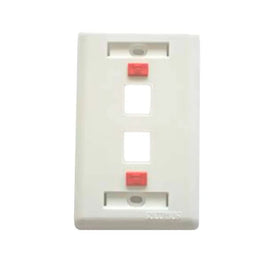 Placa 2x4 para 2 Conectores RJ45 Branco