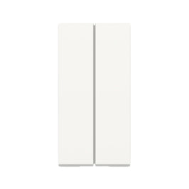 Interruptor Modular Duplo Simples 10A Branco Orion Schneider S70100104 Schneider