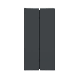 Interruptor Modular Duplo Simples 10A Grafite S70100194 Orion