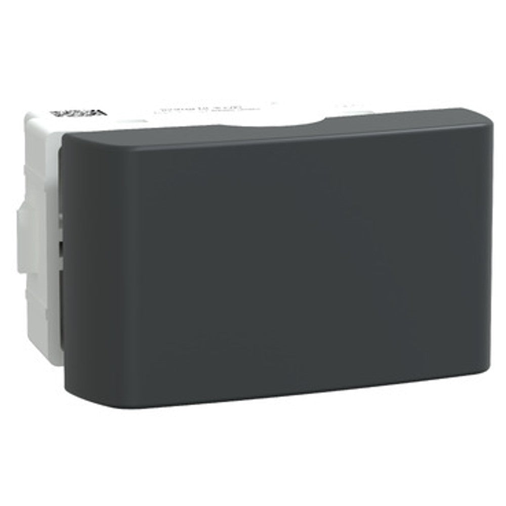 Interruptor Simples 10A Grafite S400101 Lunare Up Schneider