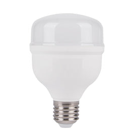 Lâmpada LED Bulbo 30W 6500K E27 DIVERSOS