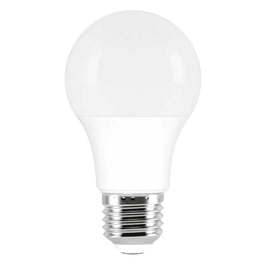 Lâmpada LED Bulbo 9W 6500K DIVERSOS
