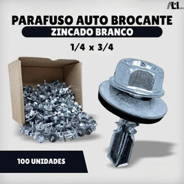 Parafuso Brocante 1/4 X 3/4 com Arruela 100 Peças