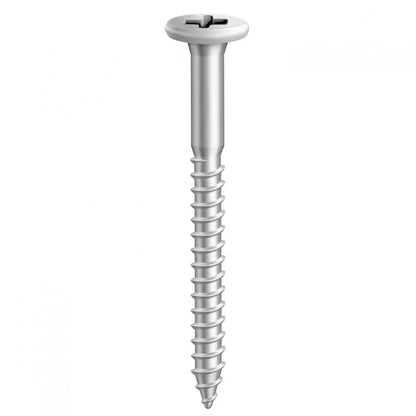 Parafuso para Madeira Cabeça Tampinha Phillips Rosca Soberba 4,8 x 55 mm com 10 Peças