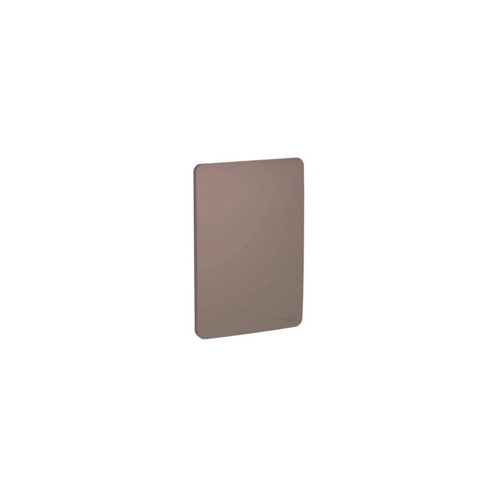 Placa 2x4 Cega Brown Orion Schneider S730100264