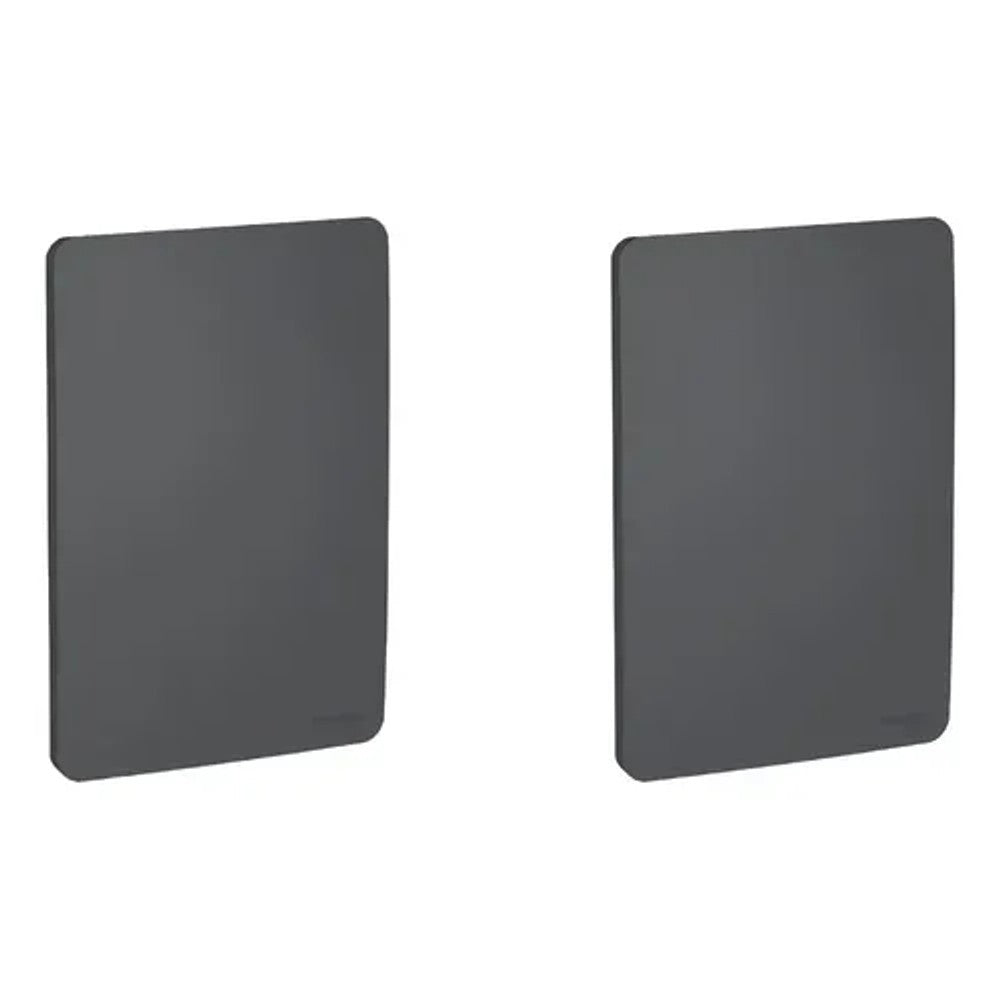 Placa 2x4 Cega Grafite S730100274 Orion Schneider
