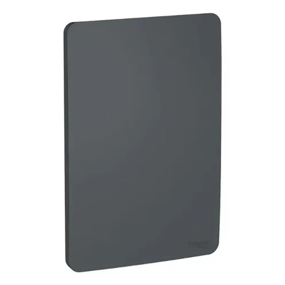 Placa 2x4 Cega Stellar Orion Schneider PS730100294