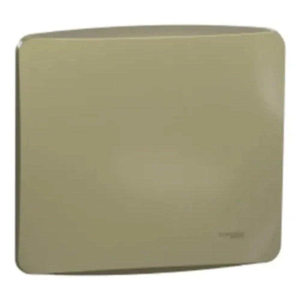 Placa 4x4 Cega com Suporte Schneider Miluz 77403