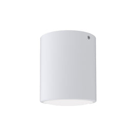 Plafon Taschibra Cannon Fixo Sobrepor 1xPAR30 Branco