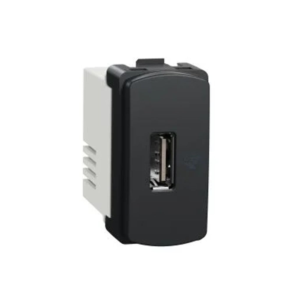 Tomada Módulo com USB Grafite 70811 Miluz Schneider